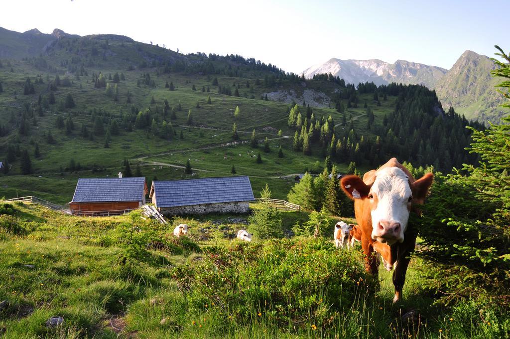 Apartament Urlaub Am Raderhof In Der Ferienregion Lungau Mauterndorf  Zewnętrze zdjęcie