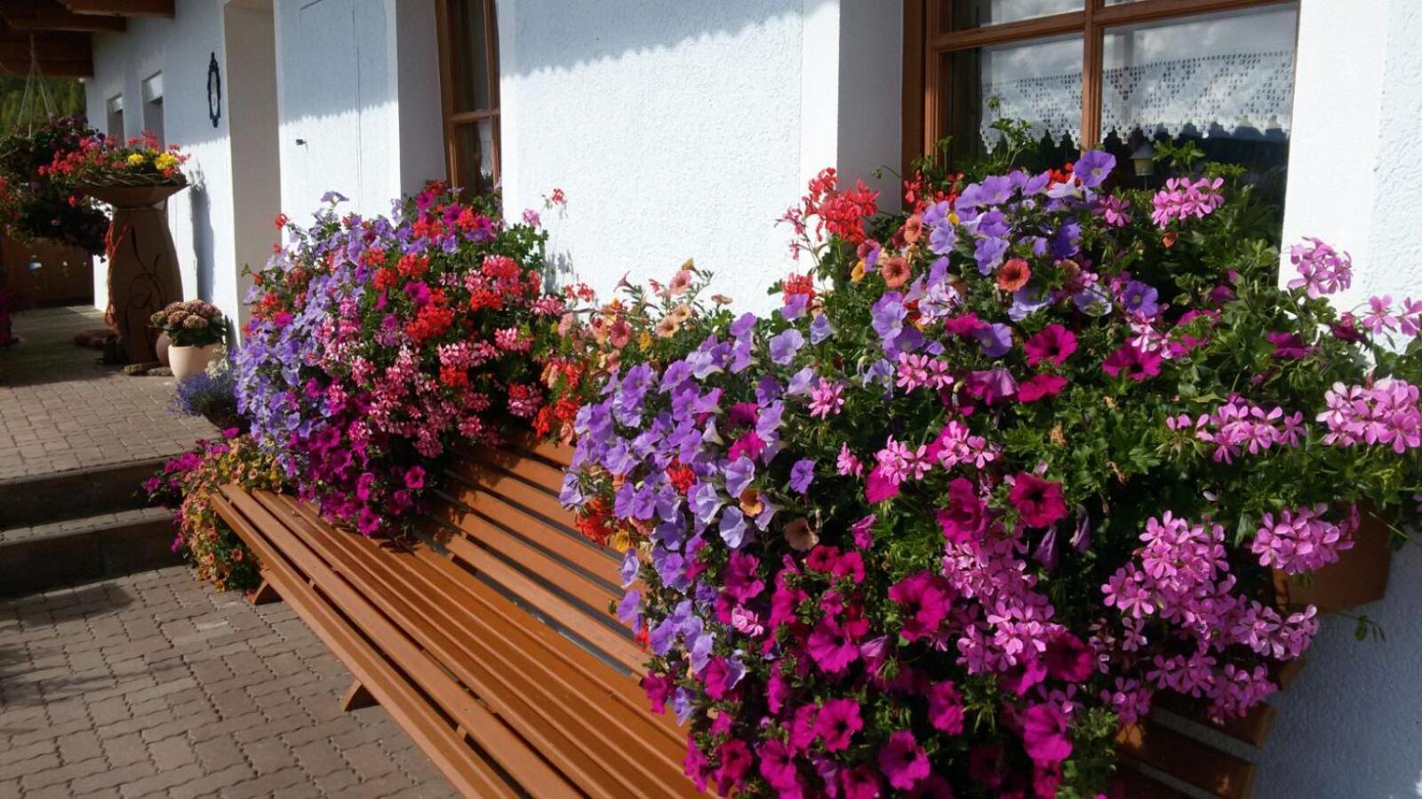 Apartament Urlaub Am Raderhof In Der Ferienregion Lungau Mauterndorf  Zewnętrze zdjęcie